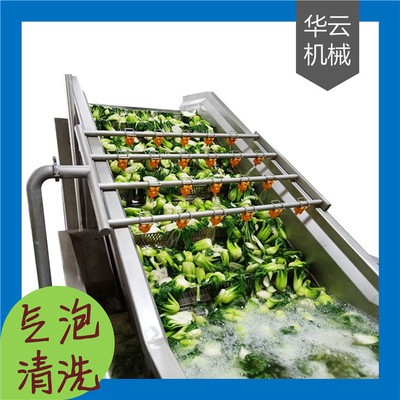 全自動(dòng)氣泡式果蔬清洗機(jī) 高壓噴淋清洗機(jī)定制 清洗干凈 效率高