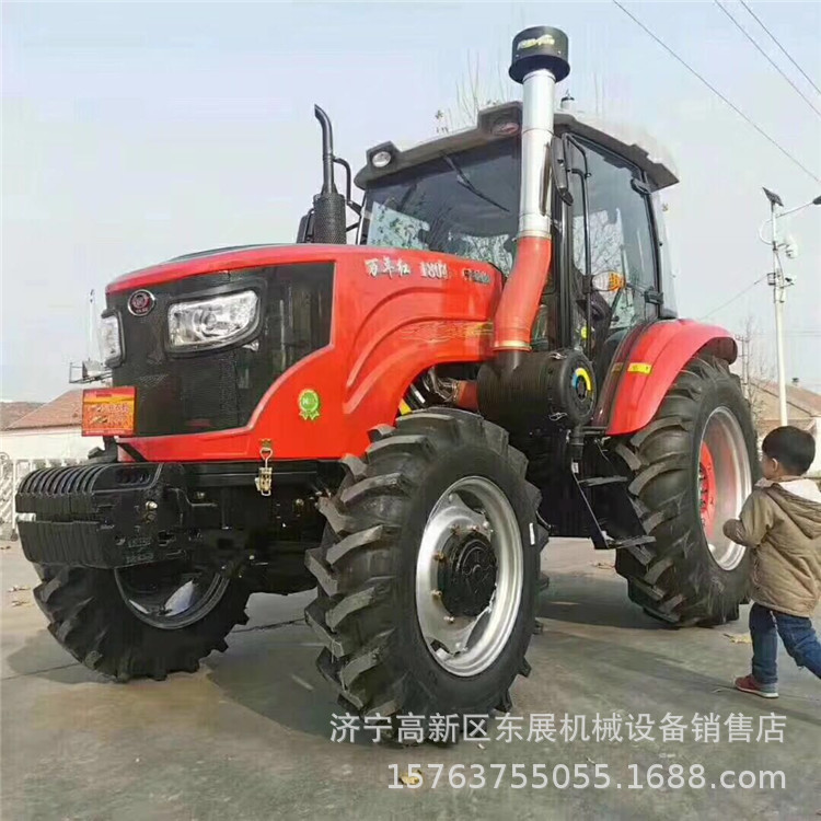 萬(wàn)年紅30.jpg