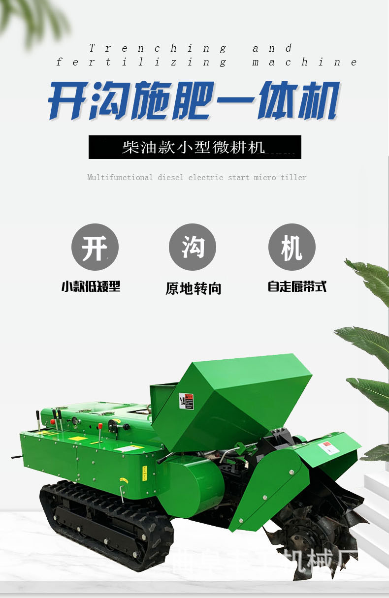 新1