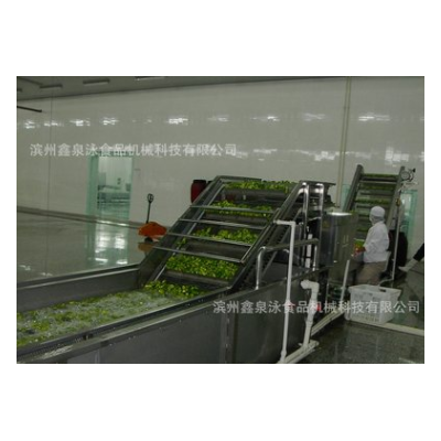 不銹鋼中央廚房蔬菜清洗線、潔凈菜氣泡清洗機