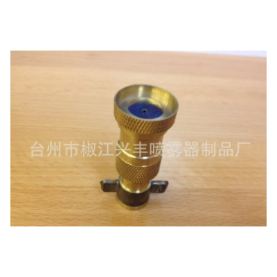 ptt-20噴霧器配件 電動(dòng)噴霧器噴頭 銅單噴頭（?。?/></a>
<div><a href=
