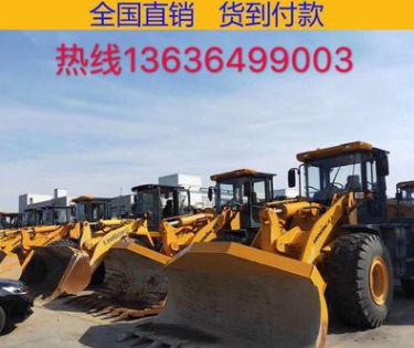 上?，F(xiàn)場(chǎng)真品鏟車裝載機(jī)30/50裝載機(jī)，供應(yīng)龍工臨工柳工