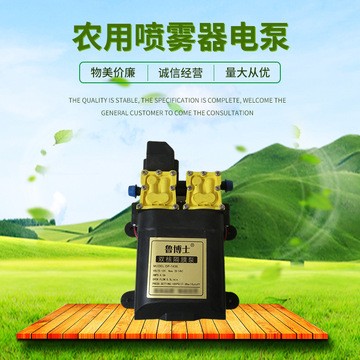 農(nóng)用打藥隔膜泵 12V智能高壓大功率雙泵 電動(dòng)噴霧器水泵 架子泵