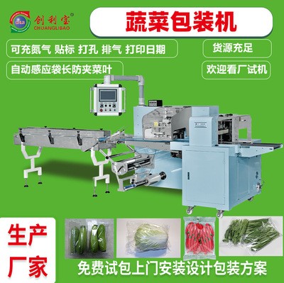 蔬菜包裝機往復(fù)式枕式全自動真空包裝機肉類果蔬食品包裝機械設(shè)備