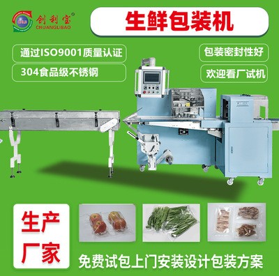 大型生鮮食品枕式包裝機水果蔬菜肉類自動食品包裝機械設(shè)備廠家