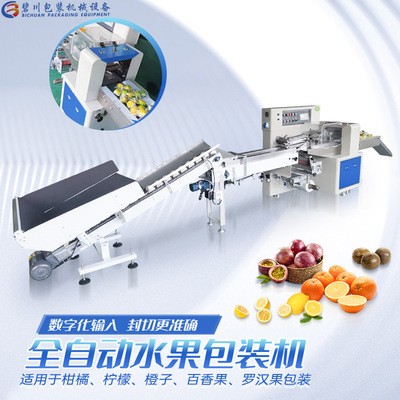 佛山廠家直供全自動檸檬包裝機高速柑橘打包機現(xiàn)貨批發(fā)水果套袋機