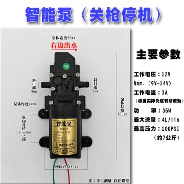 廠家直銷12V隔膜泵智能壓力泵3000轉(zhuǎn)高壓力電動(dòng)噴霧器水泵20W40W