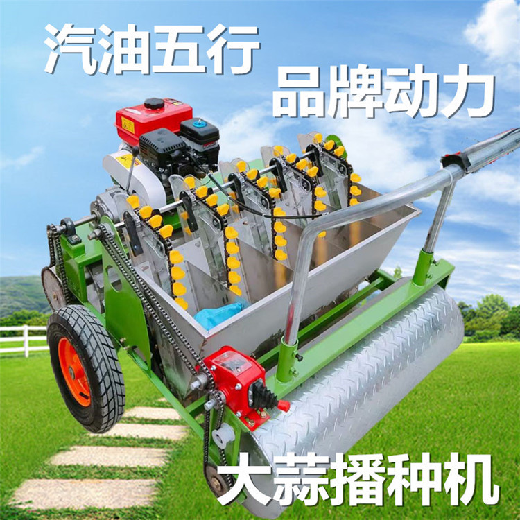 汽油五行_副本.jpg