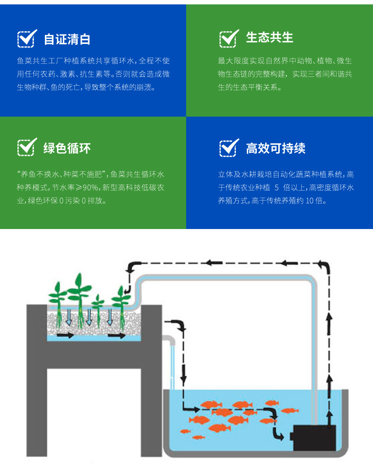 魚菜共生系統(tǒng)