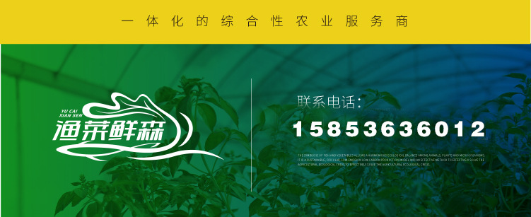 劉寧電話
