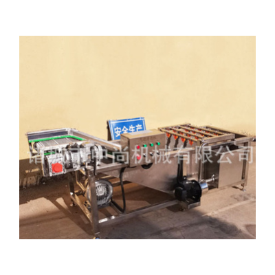 中藥材氣泡清洗機 商用全自動連續(xù)式果蔬清洗設備 大型氣泡清洗機