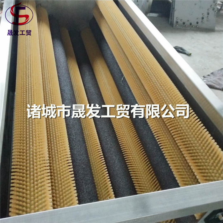 土豆清洗機2-014.jpg
