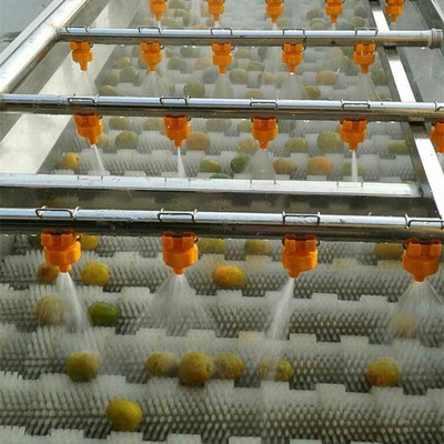 全自動柑桔清洗機 優(yōu)質(zhì)不銹鋼制作氣泡清洗機 水果加工清洗設(shè)備