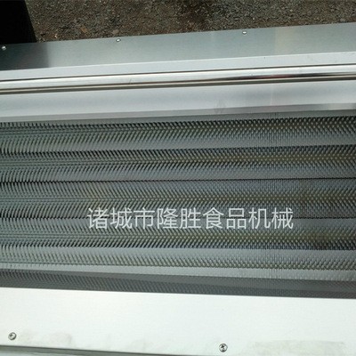 核桃栗子毛輥式清洗機 花生清洗機 藥材清洗去皮加工設(shè)備