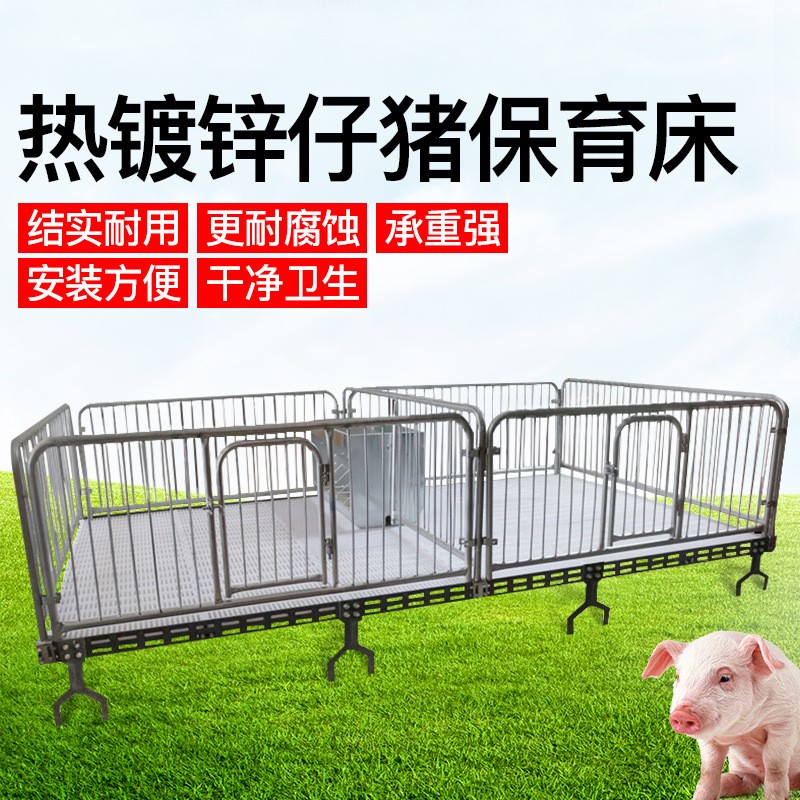 廠家批量生產(chǎn)小豬用鑄鐵保育床塑料漏糞板雙面食槽國標(biāo)鍍鋅管促銷