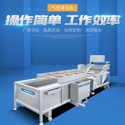 大型蔬菜清洗機(jī) 多功能全自動(dòng)氣泡清洗機(jī) 噴淋式果蔬加 工設(shè)備