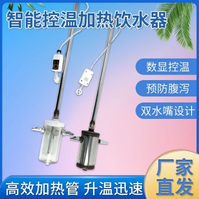 仔豬恒溫加熱飲水器自動恒溫自動加熱熱水器養(yǎng)豬設(shè)備產(chǎn)床保育床