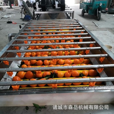 廠(chǎng)家全自動(dòng)水果清洗打蠟機(jī)拋光機(jī) 橘子沃柑洗果機(jī)