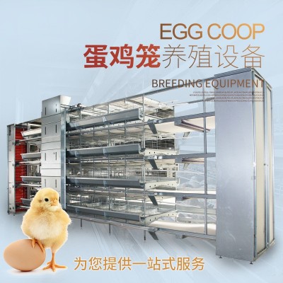 蛋雞籠養(yǎng)殖設備熱鍍鋅全自動雞籠立體式養(yǎng)雞設備自動化層疊養(yǎng)雞籠