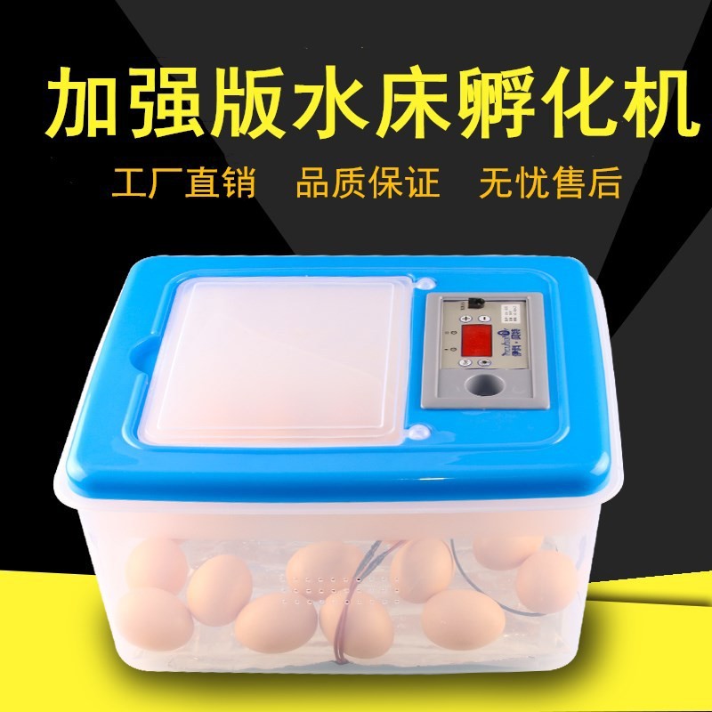 伊科貝特水床孵化機升級版 32枚PP料家用小型孵化器雞鴨鵝孵化箱
