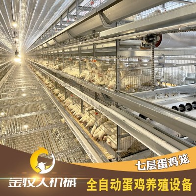 七層蛋雞籠 自動化層疊蛋雞籠 養(yǎng)雞設備籠具養(yǎng)殖廠家供應