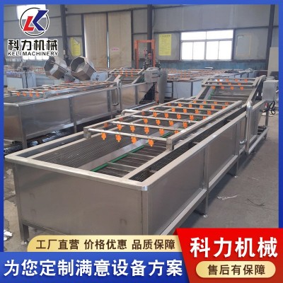 氣泡清洗機(jī)自動(dòng)洗魚(yú)機(jī) 魚(yú)類自動(dòng)清洗設(shè)備 不銹鋼氣泡清洗線