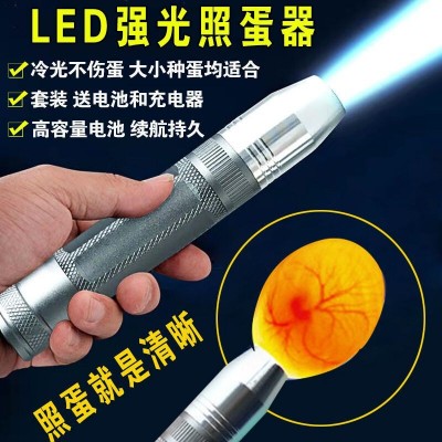 孵蛋檢查種蛋發(fā)育 孵化選蛋照蛋器 孵化機用照蛋儀 LED冷光照蛋燈