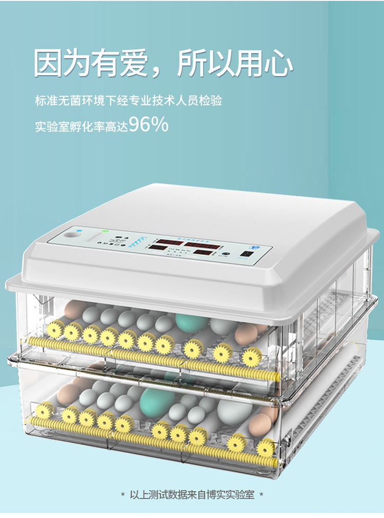 白殼詳情1_03