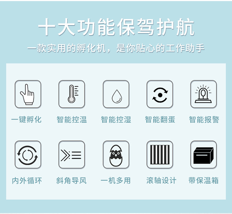 白殼詳情1_04