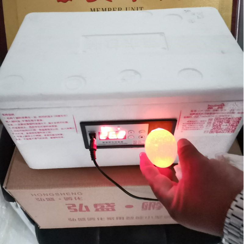 水床孵化機2.jpg