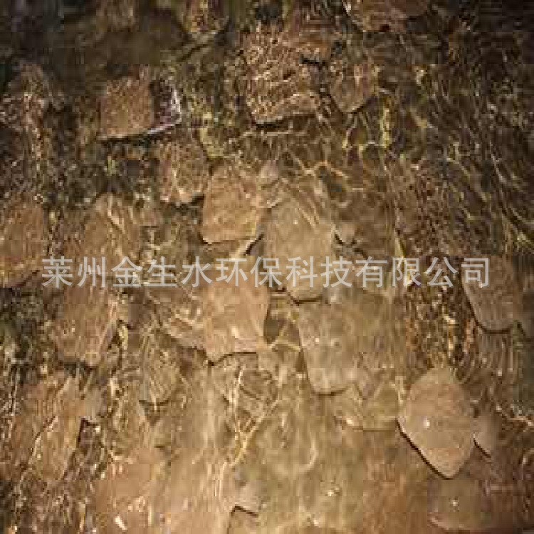 多寶魚工廠化循環(huán)水無公害養(yǎng)殖 多寶魚養(yǎng)殖