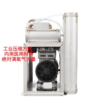 廣州廠家現貨工業(yè)10L制氧機高濃度分子篩吸氧機可出口氧氣濃縮器
