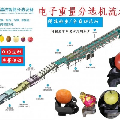 電子智能稱重芒果分選機(jī)芒果分級(jí)機(jī)分揀機(jī)克重分選機(jī)
