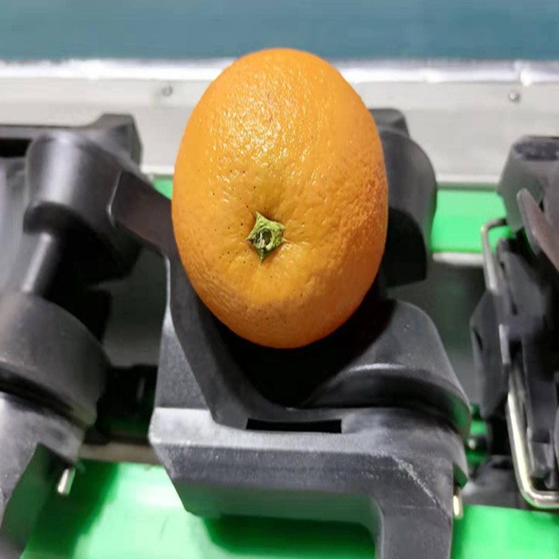 檸檬分級(jí)機(jī) 分選機(jī) 小型篩選機(jī) 水果分選重量蘋(píng)果 梨獼猴桃大青棗