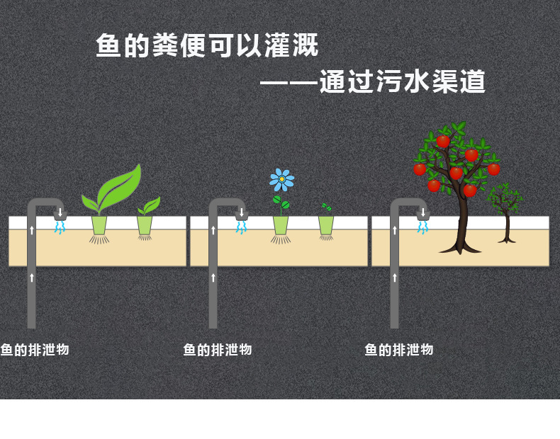 不銹鋼錦鯉一體機(jī)_07.png