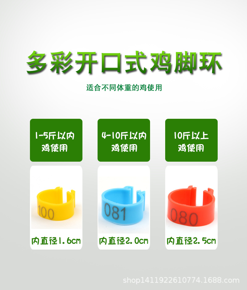 環(huán)2.png