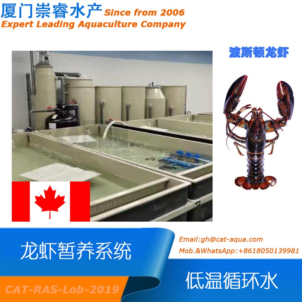 加拿大工廠化室內(nèi)循環(huán)水龍蝦低溫暫養(yǎng)項目循環(huán)水產(chǎn)養(yǎng)殖水處理設(shè)備