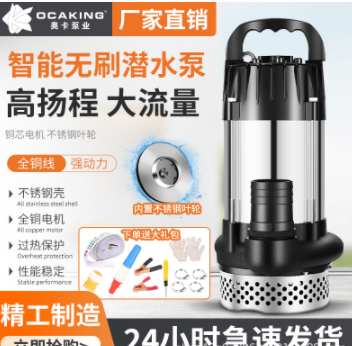 無(wú)刷直流潛水泵高揚(yáng)程48V60V72V伏通用電動(dòng)車電瓶車抽水泵抽水機(jī)