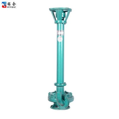 NL立式泥漿泵22KW 養(yǎng)殖場化糞池專用耐磨桿泵 液下污水泥漿排污泵
