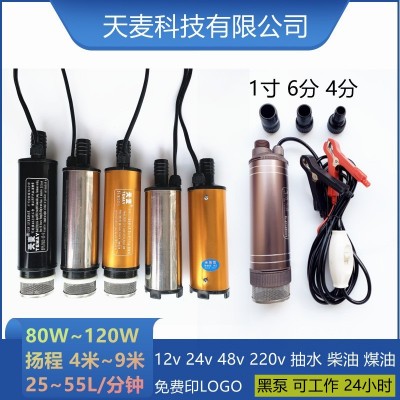 天麥抽水泵48v加油泵直流24v電動(dòng)抽油泵220v抽水機(jī)12v小型潛水泵