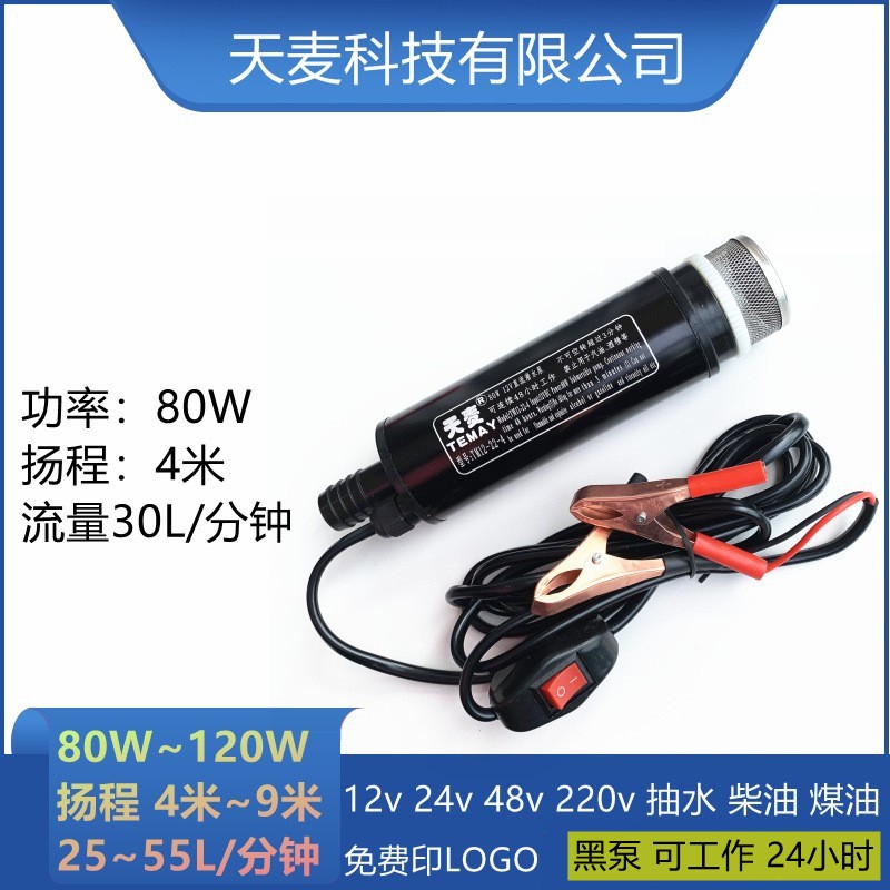 Temay潛水24v摩托車抽水泵加油器微型電動(dòng)抽水抽油泵12v直流水泵