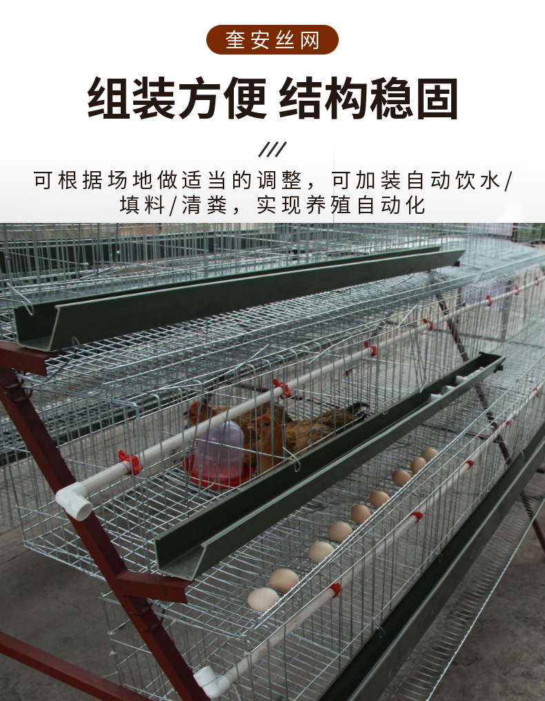 雞籠 (7).png
