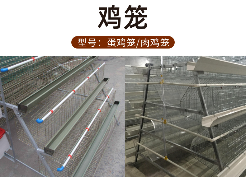 雞籠 (2).png