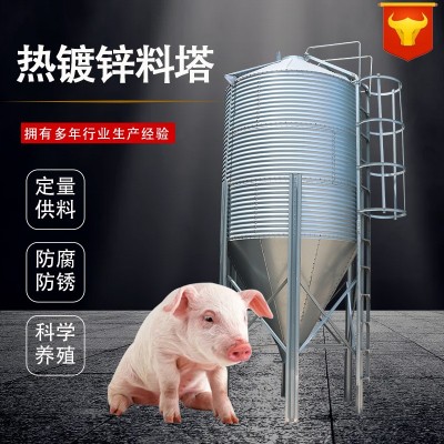 生產畜牧養(yǎng)殖業(yè)機械設備自動化養(yǎng)豬料線豬舍儲存飼料塔熱鍍鋅料塔