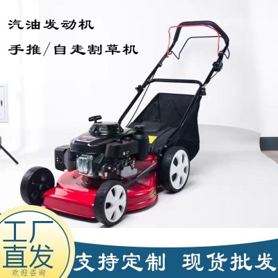 現(xiàn)貨汽油草坪機(jī) 小區(qū)綠化草坪修剪機(jī) 四沖程手推自走剪草割草機(jī)