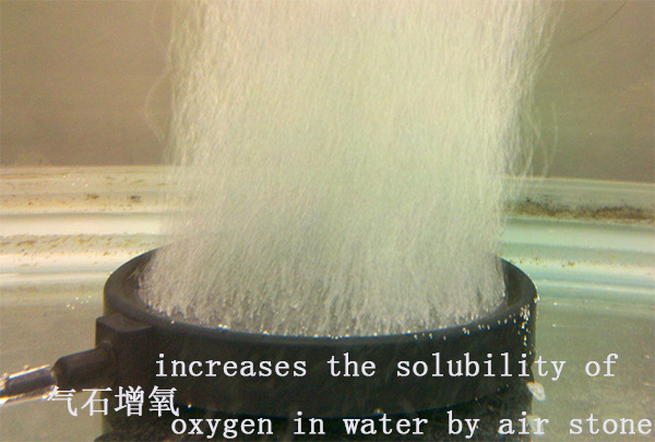 超微氣泡發(fā)生器1.jpg