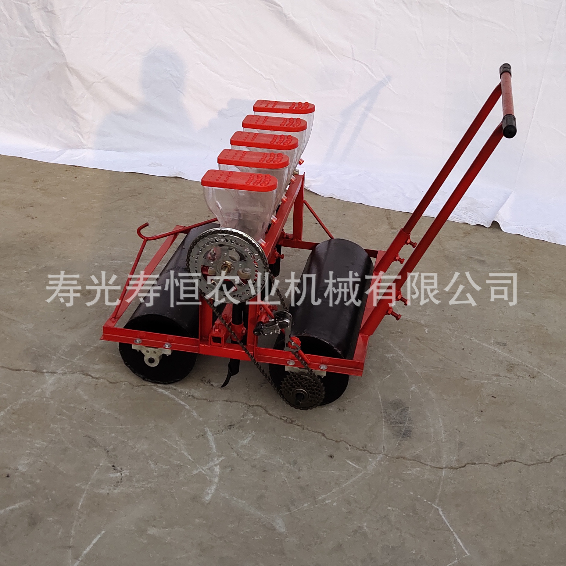 IMG_20191019_154433.jpg