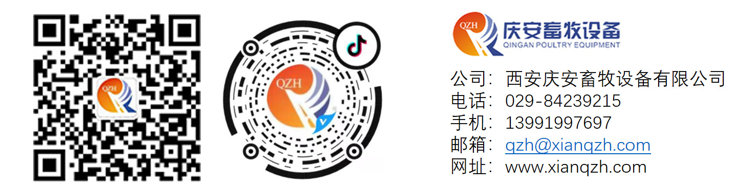 （第三行第二張）