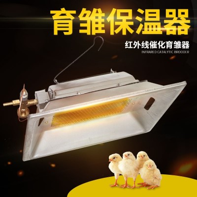孵化出雛一體機(jī)紅外線催化育雛器 紅外線育雛保溫器 養(yǎng)雞設(shè)備