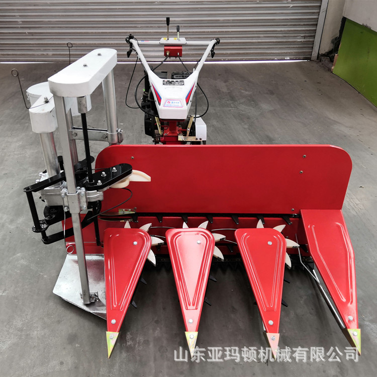 微信圖片_20190509173049_副本.jpg